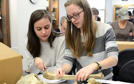 CAAM students working with a bone